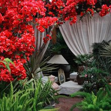 大理古城山下·不止植愈庭院