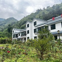 竹桂苑(洛阳白云山店)