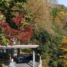 莫干山日出云海·全套房民宿(莫干山景区店)