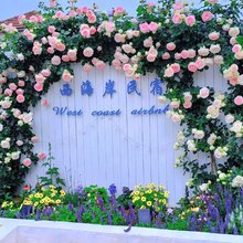 西海岸民宿