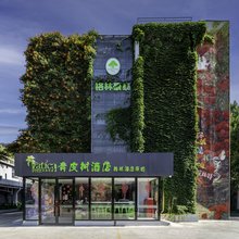 青皮树酒店(泰安泰山站岱庙店)