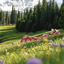 耽于薄酒·Sip away阳光惬意花园庭院民宿(那拉提草原店)