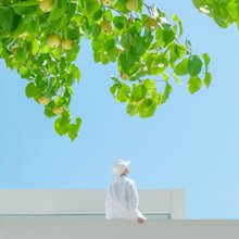 仙居花清引·予梦度假美宿