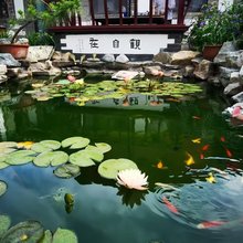 盛园精品四合院民宿(烟台万达所城里店)