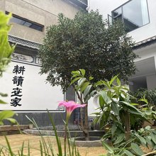 十里春风民宿