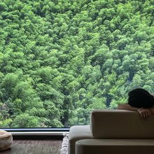 小河边上·Clearstream Tranquility|山野溯溪美墅