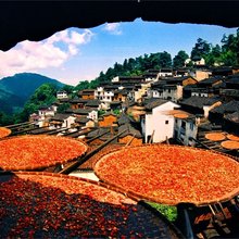 婺源沁悦民宿(篁岭景区天街店)