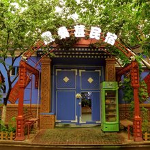 伊宁市六星街黑桑葚民宿