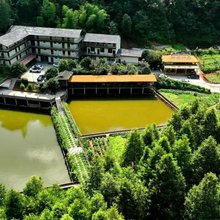 四面山谷·原生态亲子休闲度假民宿
