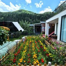 尼勒克县林云山居民宿(蜜蜂小镇店)