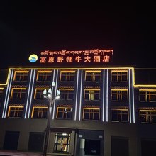 曲麻莱高原野牦牛大酒店