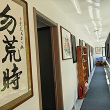 杏林轩民宿