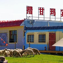 黑马河措甘玛宾馆