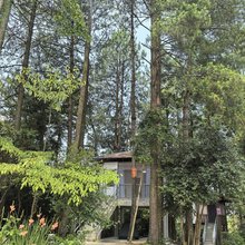石柱松鼠闹林康养农庄