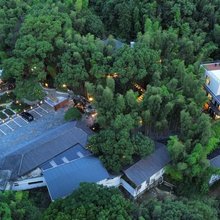 庐山君竹雅庐民宿(庐山风景区东林大佛店)