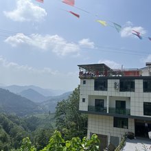 观山茶居