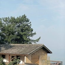 缙云小住丨避世·森系·冶愈·美宿(重庆缙云山4A景区店)