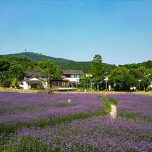 庐江许山里民宿