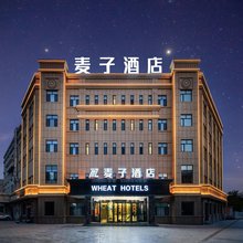 鄯善麦子酒店(库木塔格沙漠店)