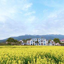 庐山望山别院民宿