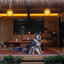 探花·清庭|一夕一夏度假别院(丽江古城北门店)