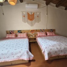 沙棘露营地