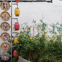 台州黄岩雅致小院(九峰公园店)