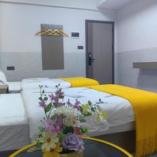 凤新波士电梯客房(佛山顺德清晖园度假区店)