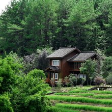 稻田别墅(雅溪古村景区店)