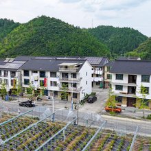 桐庐慧灵民宿(天子地山野乐园店)