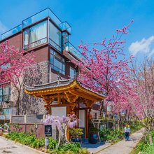 大理闲也度假旅居(苍山风景区店)