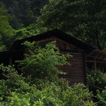 维西响古箐木屋