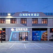 白海豚电竞酒店(阳江海陵岛北洛湾店)
