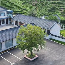 云雾山茶庄园