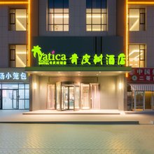 青皮树酒店(喀什大学新泉校区·五一夜市店)
