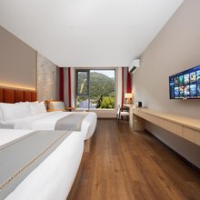 山水间温泉酒店(海螺沟冰川森林公园店)
