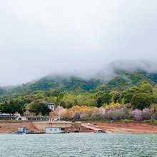 湖韵山居民宿