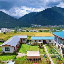 鲁朗伴山居民宿