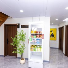 伊金霍洛旗巷往民宿