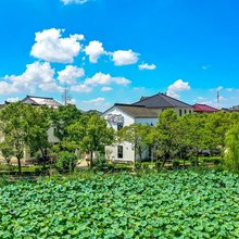 淀山湖·留夏拾光民宿(蔡浜村店)