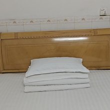 迎宾公寓(罗马路店)
