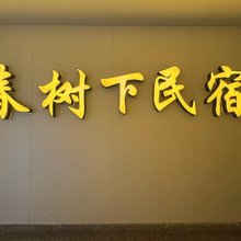 怀远春树下民宿