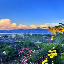帆歌·观山海度假民宿(大理张家花园店)