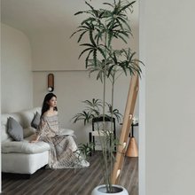 相遇·Encounter 竹涧无边泳池美宿(安吉云上草原店)