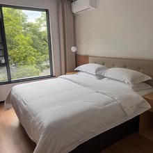 额济纳旗胡杨林精品民宿