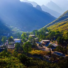 麻麻花的山坡