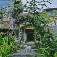 心旅时光驿栈(元阳梯田景区店)