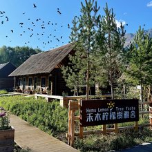禾木柠檬树·雅舍(禾木桥店)