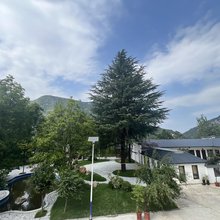 桐乐清居民宿