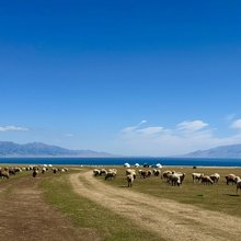 蒙曦·民宿(赛里木湖景区店)